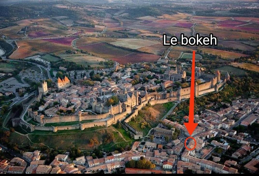 Le Bokeh Apartments - Face à la Cité Médiévale Carcassonne Exterior foto